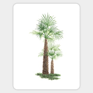 September birthday palm tree Sticker